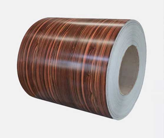 Double coat color coated metal coil paint galvanized Ppgi Ppgl steel coil/sheet coil